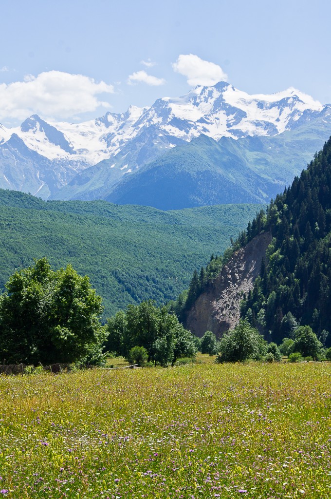 Zdjęcia: Swanetia, Swanetia, Łąka, GRUZJA Zdjęcia: Swanetia, Swanetia, Łąka, GRUZJA