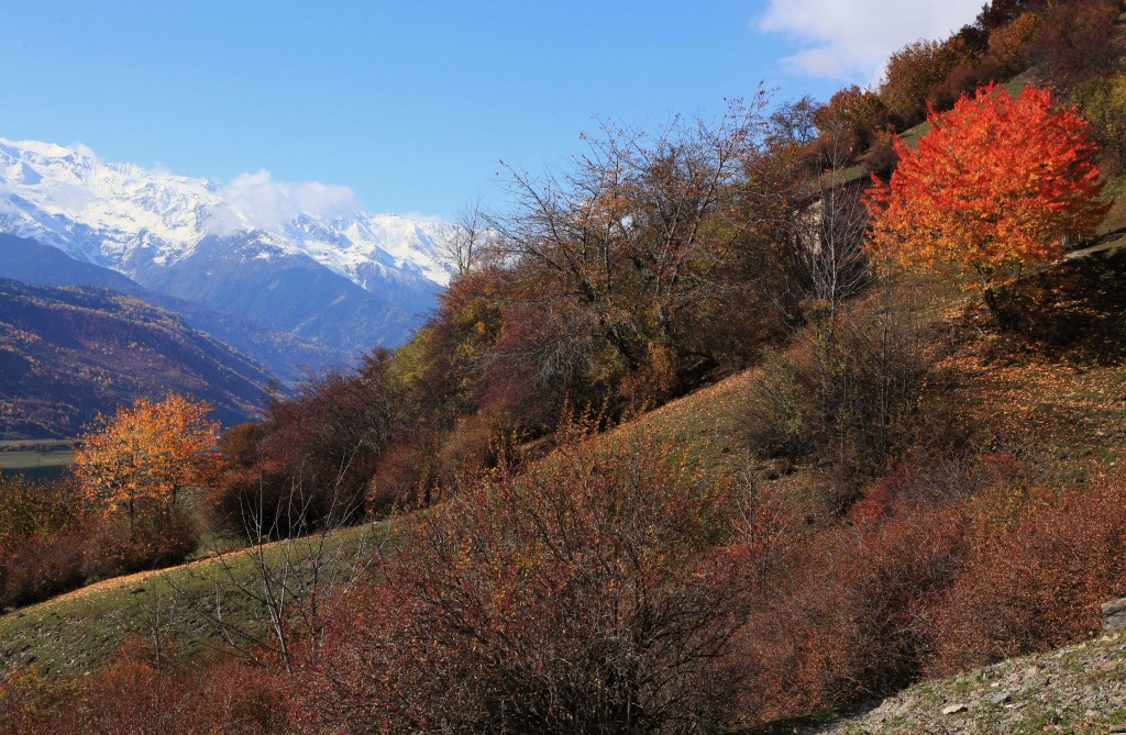 Zdjęcia: Mestia, Svanetia, Jesień już, GRUZJA Zdjęcia: Mestia, Svanetia, Jesień już, GRUZJA
