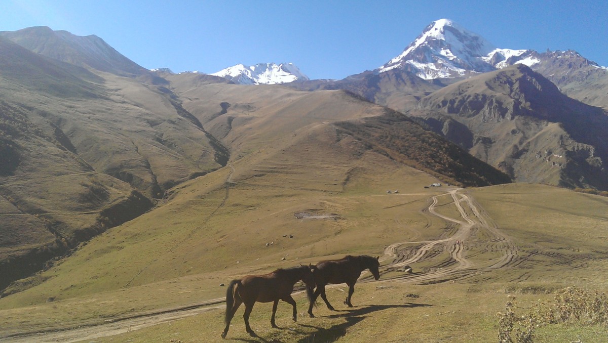 Zdjęcia: Kazbegi, Gruzja, Kazbegi, GRUZJA Zdjęcia: Kazbegi, Gruzja, Kazbegi, GRUZJA