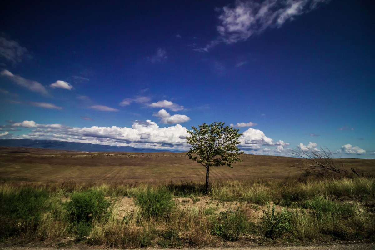 Zdjęcia: Dawit Gareji, Kachetia, Samotność, GRUZJA Zdjęcia: Dawit Gareji, Kachetia, Samotność, GRUZJA