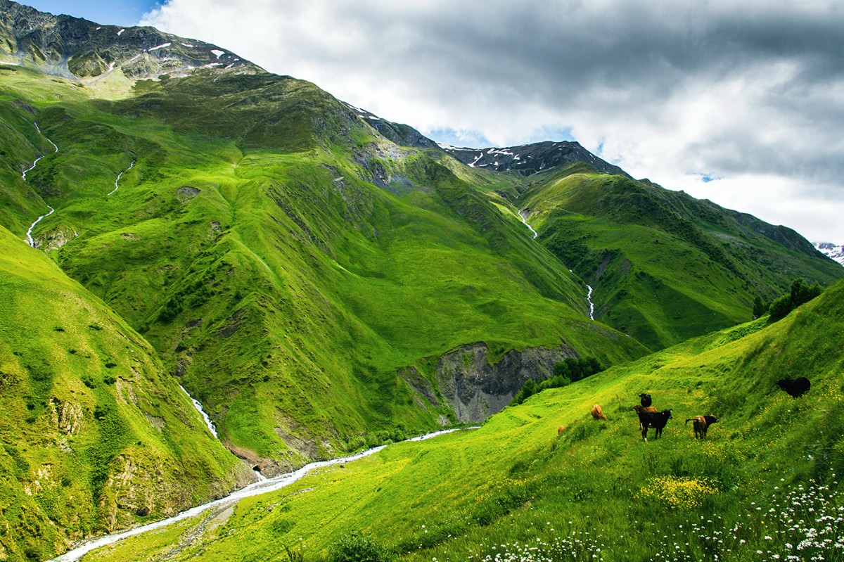 Zdjęcia: Dolina w okolicach Kazbegi, Okolice Kazbegi, 5 minut po burzy, GRUZJA Zdjęcia: Dolina w okolicach Kazbegi, Okolice Kazbegi, 5 minut po burzy, GRUZJA