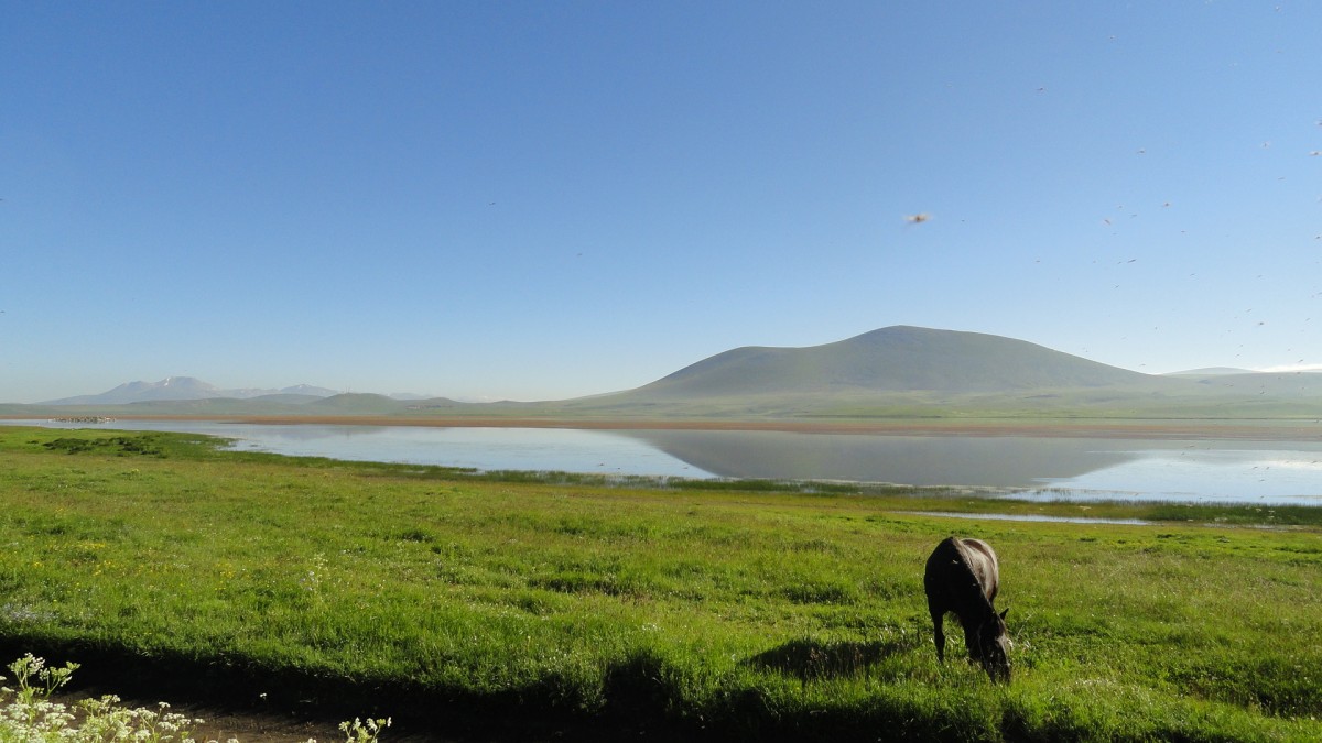 Zdjęcia: MEDATAPA LAKE, OKOL NINOTSMINDA, JEZIORO, GRUZJA Zdjęcia: MEDATAPA LAKE, OKOL NINOTSMINDA, JEZIORO, GRUZJA