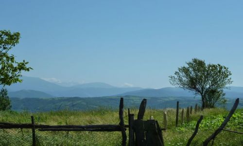 Zdjęcie GRUZJA / - / Rustawi i okolice / Okolice Rustawi