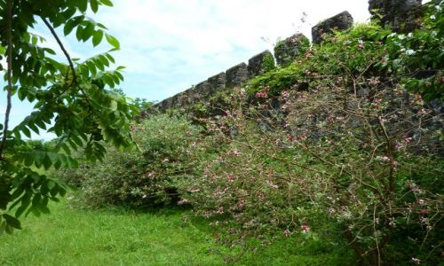 Zdjęcie GRUZJA / Adżaria / Gonio / Mury obronne twierdzy Gonio