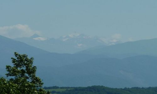 Zdjęcie GRUZJA / - / Rustawi i okolice / Okolice Rustawi