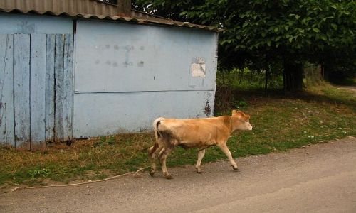 Zdjcie GRUZJA / okolice Gori / Upliscyche / wybraem wolno