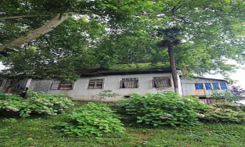 GRUZJA / Gruzja / Gruzja / Ogrody Batumi