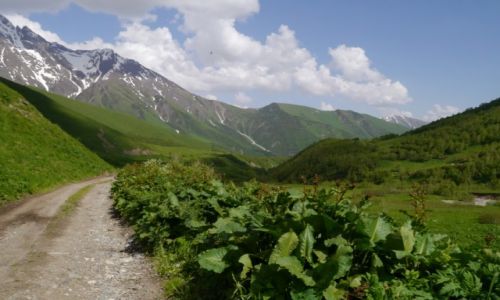 Zdj�cie GRUZJA / - / Gruzja - trasa Ushguli-Lentekhi / Gruzja - trasa Ushguli-Lentekhi