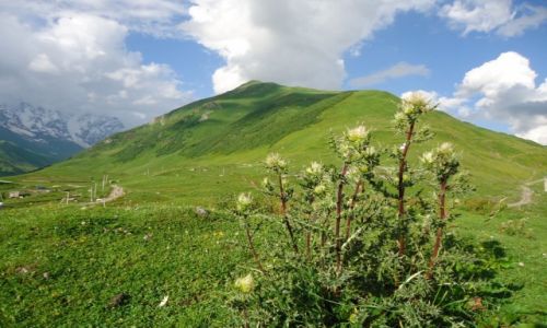 Zdjecie GRUZJA / Swanetia / Uszguli / Kaukaz