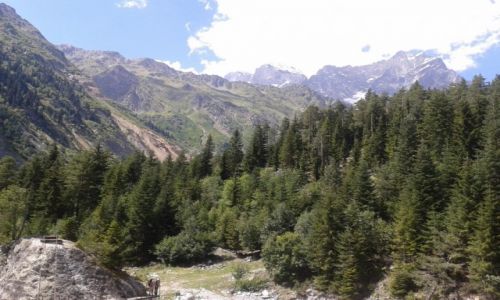 Zdjecie GRUZJA / Swanetia / 6 km od granicy z Rosj / Eto Kavkaz