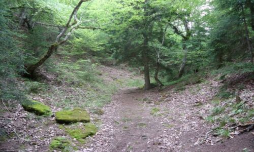 Zdjcie GRUZJA / Szida Kartli / okolice Borjomi / May Kaukaz