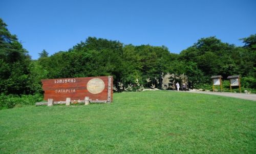Zdjęcie GRUZJA / Imeretia / Sataplia / Rezerwat Sataplia