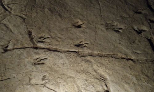 Zdjęcie GRUZJA / Imeretia / Sataplia / Odciski łap dinozaurów