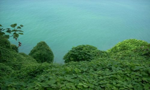 Zdjecie GRUZJA / Adżaria / Batumi / Widok z ogrodu botanicznego na Morze Czarne