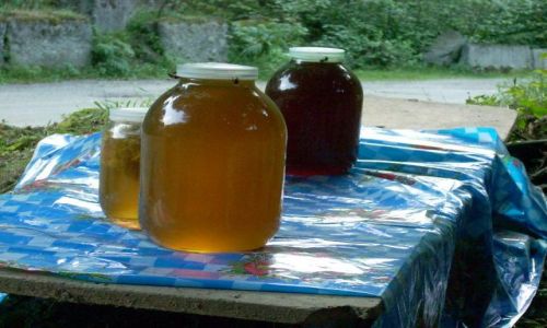 Zdjęcie GRUZJA / Imeretia / Sairme / Miodzio...