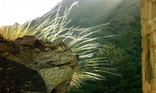 Zdj�cie GRUZJA / Khidisavi-Ateni-Boshur / Monastyr Atenis Sioni / �wiat�o�� traw