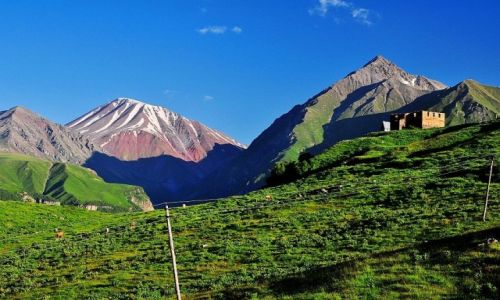 Zdjecie GRUZJA / Gudauri / Gudauri / Sielanka