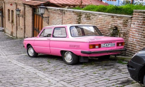 Zdjecie GRUZJA / Tbilisi / Tbilisi / Pink Florida Zaporoec