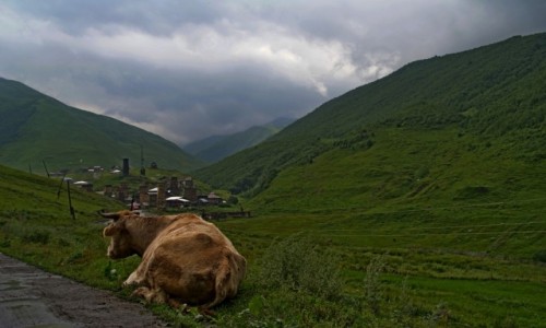 Zdjecie GRUZJA / Swanetia / po drodze / w drodze do Ushguli