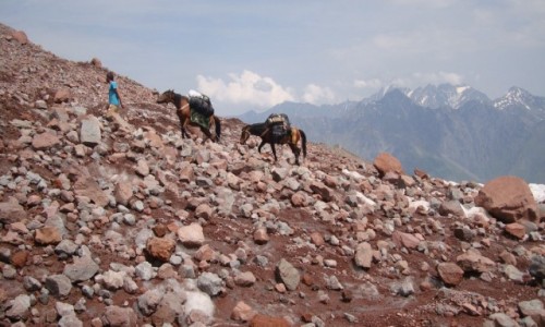 Zdjęcie GRUZJA / Kaukaz / Droda do stacji meteo. / Wszyscy ida do stacji.