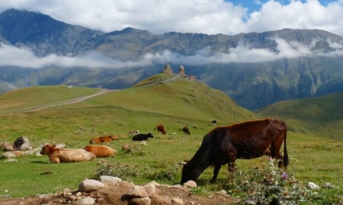 Zdjecie GRUZJA / Kaukaz / Kazbegi / Gruzja Tsamida Sameba