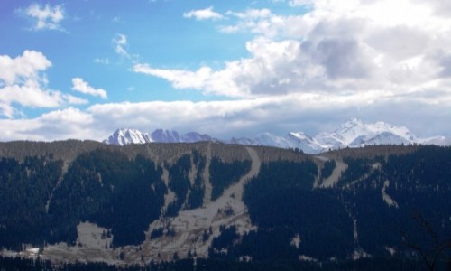 Zdjecie GRUZJA / Swanetia / Mestia / Gruziski Kaukaz