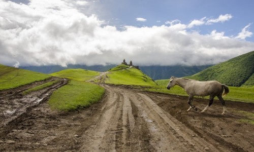 Zdjecie GRUZJA / Kazbegi / Kazbegi / Kraina czarw
