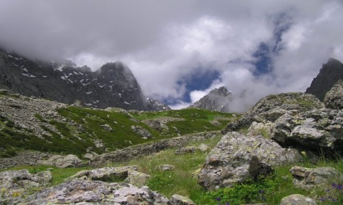 Zdjęcie GRUZJA / Tusheti / Tusheti National Park / Kaukaz