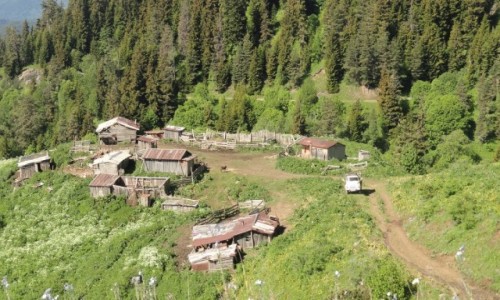 Zdjęcie GRUZJA / BORJOMI NATIONAL PARK / BORJOMI NATIONAL PARK / :)