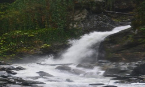 Zdjecie GRUZJA / Lagodekhi / Rezerwat przyrody Lagodekhi / Wodospad Cietrzewia