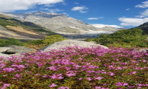 Zdjęcie GRUZJA / Kaukaz / Lodowiec Chalaadi / widoczek