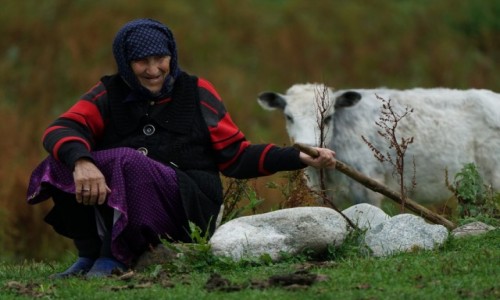 Zdjcie GRUZJA / Svanetia / Ushguli / Pasterka