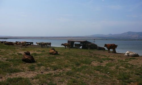 Zdjęcie GRUZJA / Tbilisi/okolice / siarkowe jezioro / Tu będzie Spa