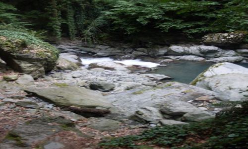 Zdjęcie GRUZJA / Kachetia, przy granicy z Dagestanem / Park Narodowy Lagodechi / ... zielone kotary...