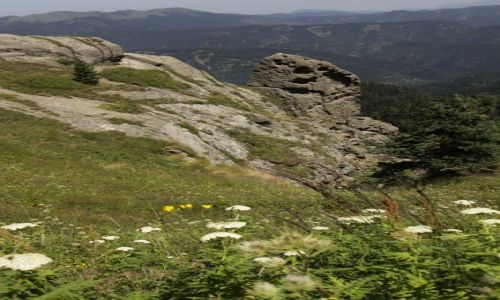 Zdjcie GRUZJA / Kartlia Wewntrzna / Borjomi-Karagauli / Borjomi Karagauli