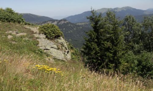 Zdjcie GRUZJA / Kartlia Wewntrzna / Borjomi-Karagauli / Trasa nr 3 (obie pikne)