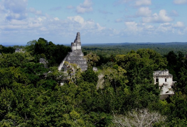 Zdj cia: Tikal, Peten, Tikal, GWATEMALA