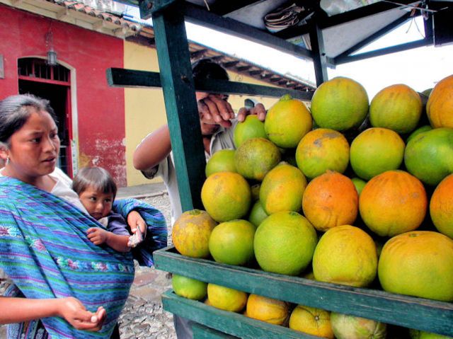 Zdjęcia: antigua, antigua, pomarańcze, GWATEMALA Zdjęcia: antigua, antigua, pomarańcze, GWATEMALA