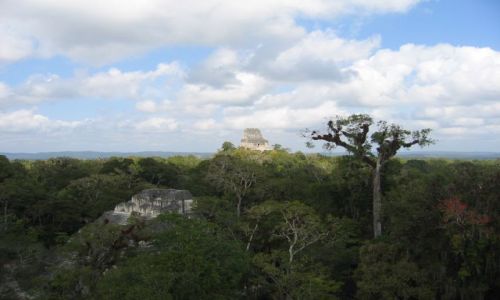 Zdjęcie GWATEMALA / el peten / tical / la ruta maya, tical
