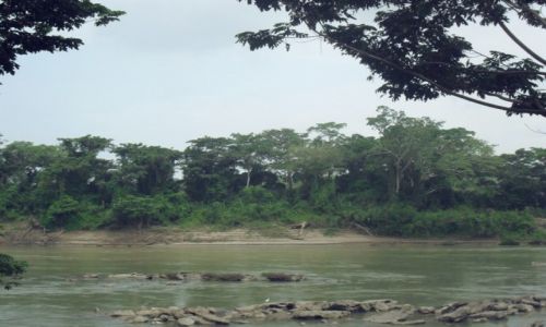 Zdjecie GWATEMALA / Peten / Usumacinta / 05