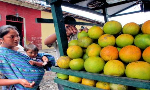 Zdjecie GWATEMALA / antigua / antigua / pomaracze
