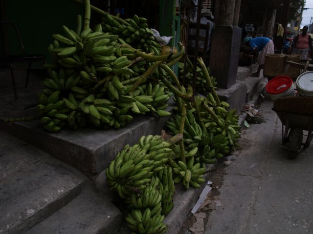 Zdjęcia: Port au Prince, Platan czyli banan warzywny, HAITI Zdjęcia: Port au Prince, Platan czyli banan warzywny, HAITI