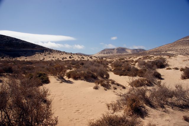 Zdjęcia: plaże południowe, Fuerteventura, Fuerta, HISZPANIA Zdjęcia: plaże południowe, Fuerteventura, Fuerta, HISZPANIA