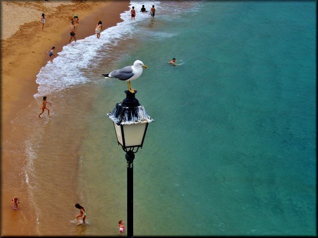 Zdjęcia: Tossa de Mar, Katalonia, Ja tu pilnuję :-), HISZPANIA Zdjęcia: Tossa de Mar, Katalonia, Ja tu pilnuję :-), HISZPANIA