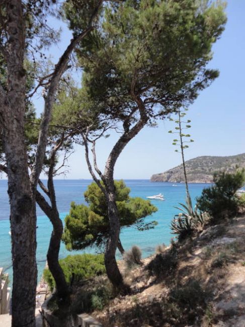 Zdjęcia: majorka, camp de mar, HISZPANIA Zdjęcia: majorka, camp de mar, HISZPANIA