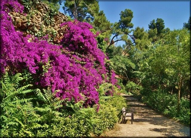 Zdjęcia: Barcelona - Park Güell, Katalonia, Bajkowo w Parku Güell, HISZPANIA Zdjęcia: Barcelona - Park Güell, Katalonia, Bajkowo w Parku Güell, HISZPANIA
