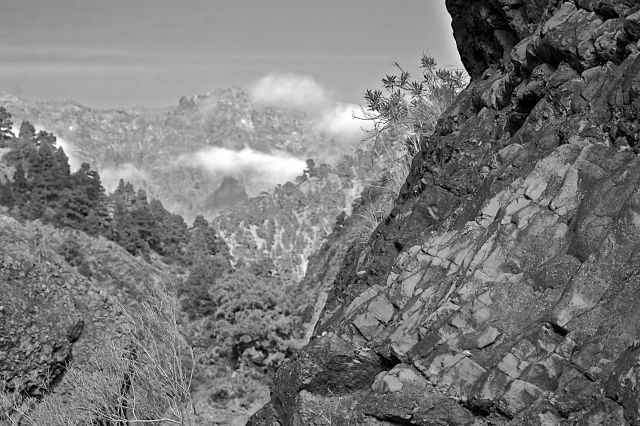 Zdjęcia: caldera de taburiente, La Palma/Wyspy Kanaryjskie, caldera de taburiente, HISZPANIA Zdjęcia: caldera de taburiente, La Palma/Wyspy Kanaryjskie, caldera de taburiente, HISZPANIA