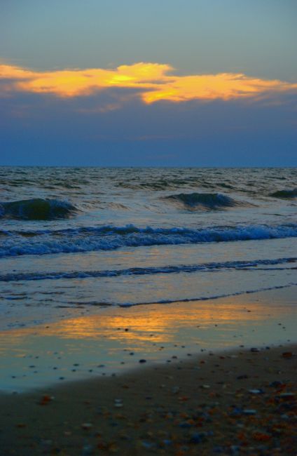 Zdjęcia: Matalascanas, Andaluzja, Mały view na  ocean , HISZPANIA Zdjęcia: Matalascanas, Andaluzja, Mały view na  ocean , HISZPANIA