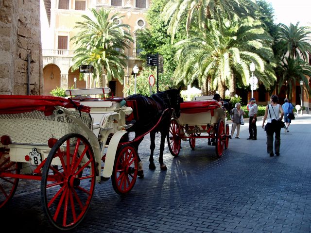 Zdjęcia: stolica Majorki -Palma, Poludnie Majorki, Majorka-Palma, HISZPANIA Zdjęcia: stolica Majorki -Palma, Poludnie Majorki, Majorka-Palma, HISZPANIA