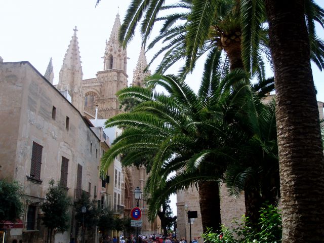 Zdjęcia: Palma de Mallorca, Poludnie Majorki, Majorka-Palma, HISZPANIA Zdjęcia: Palma de Mallorca, Poludnie Majorki, Majorka-Palma, HISZPANIA
